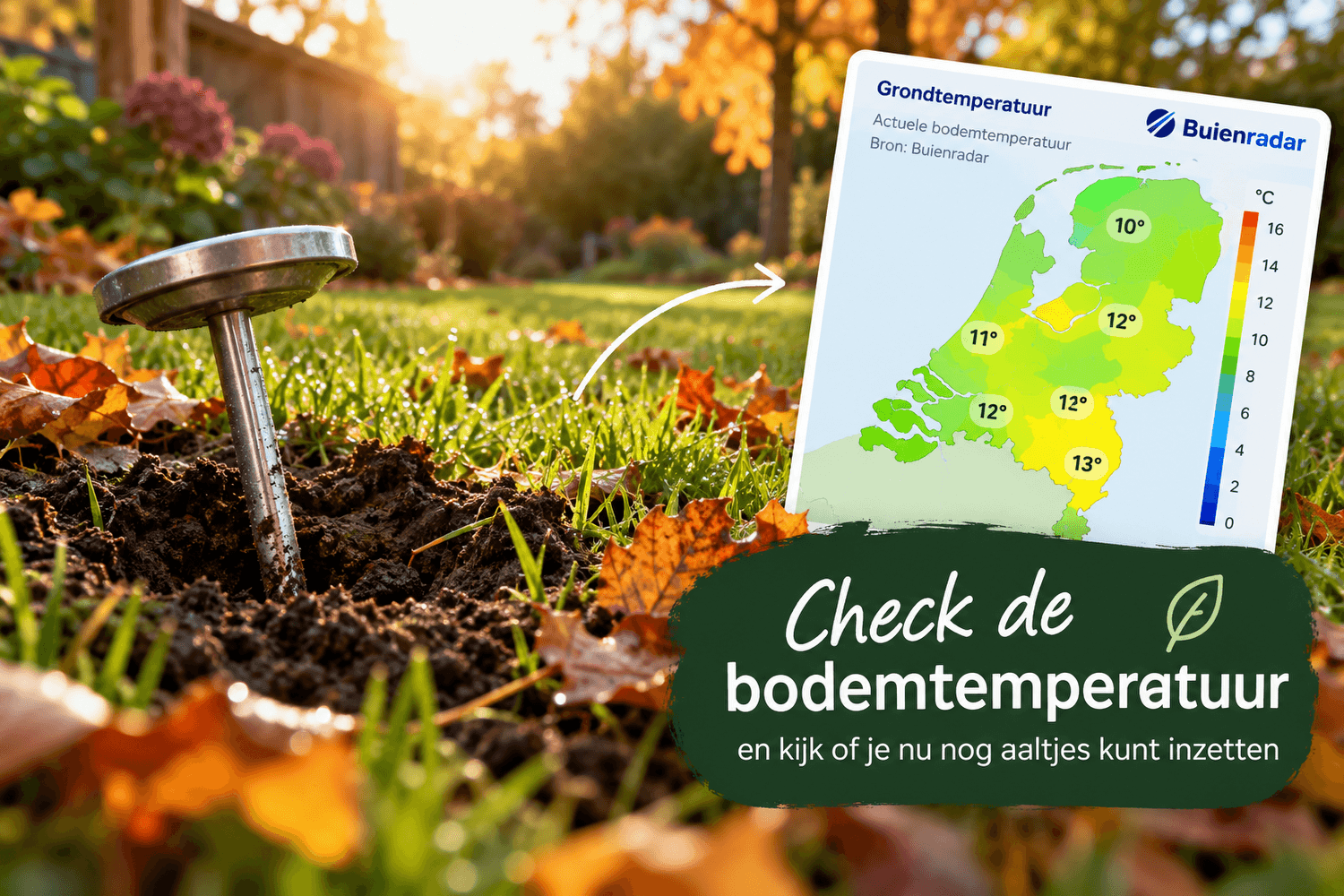 Kan ik nu nog aaltjes gebruiken? Check de bodemtemperatuur!