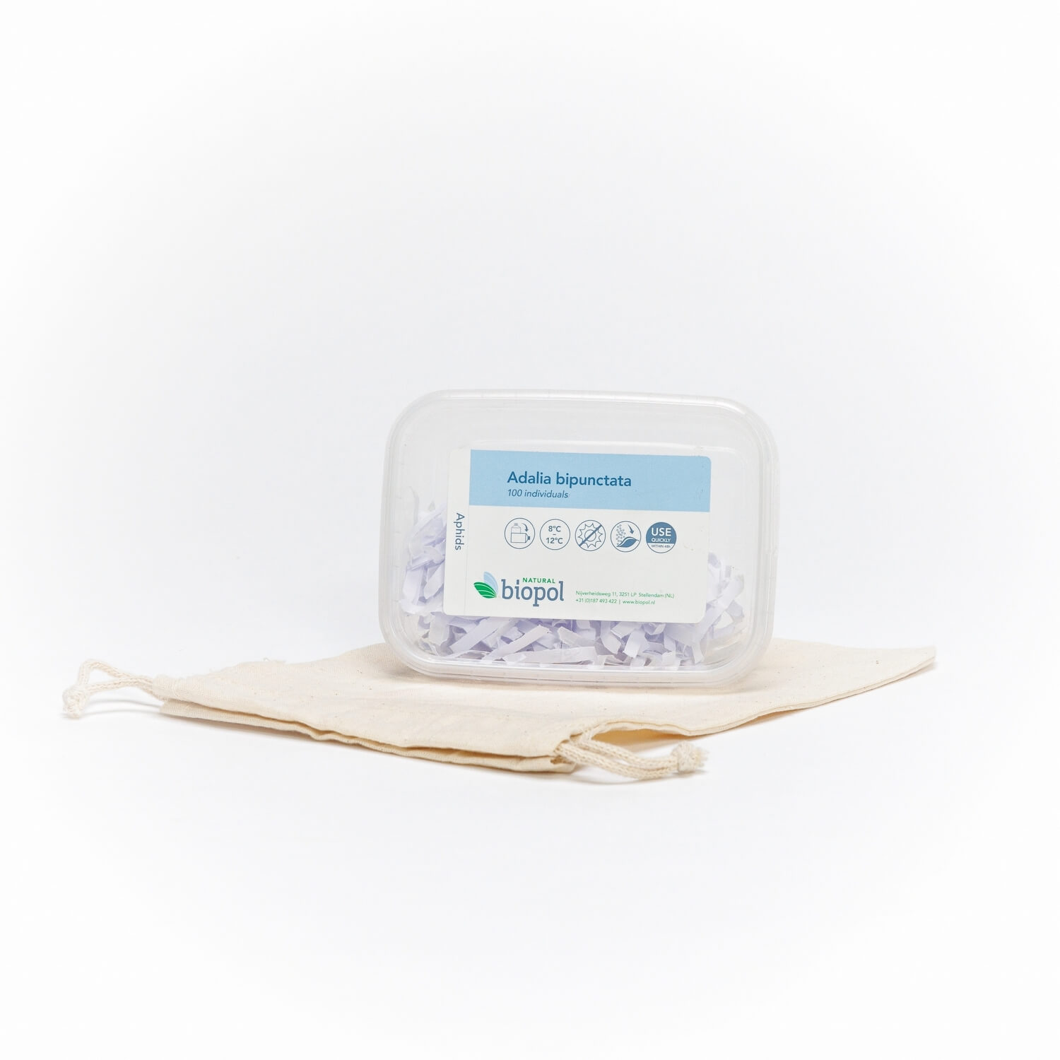Aaltjes bestellen webshop - adalia_bipunctata