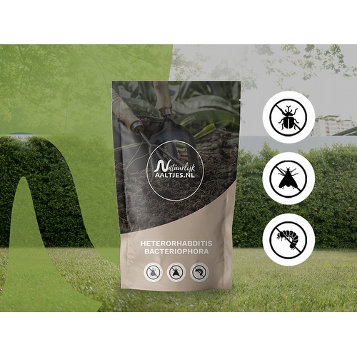 Aaltjes korting webshop - heterorhabditis_bacteriophora