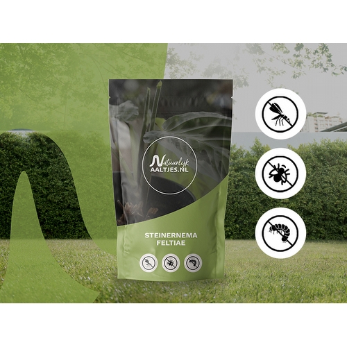 Aaltjes korting webshop - steinernema_feltiae