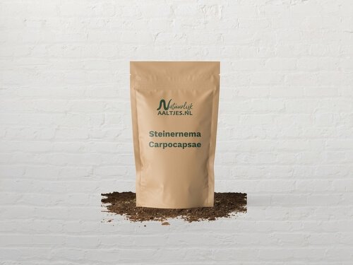 Aaltjes leveren - mockup_2