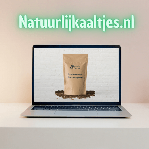 Aaltjes online kopen met korting - aaltjeswebshop