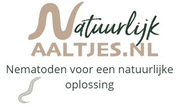 Coloradokever bestrijden met aaltjes - nematoden-online