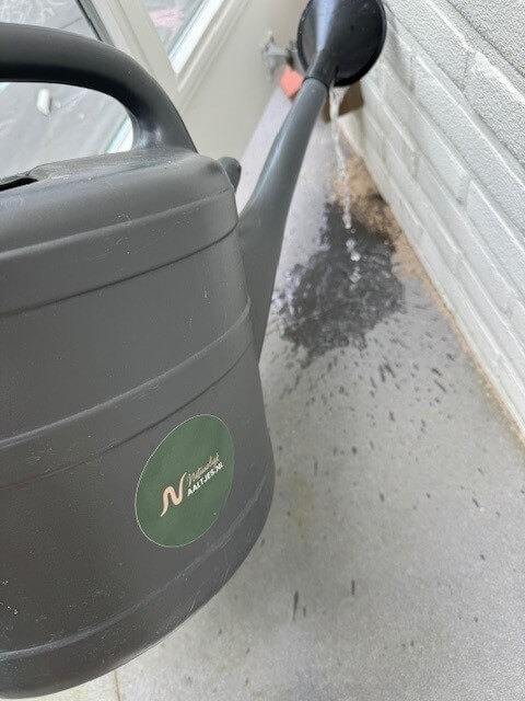 Goedkope nematoden kortingscode - mieren-van-terras-met-aaltjes