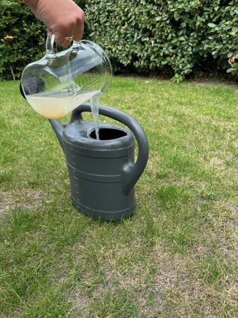 Hoe herken je engerlingen in het gazon? - aaltjes-mengen