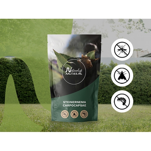 Natuurlijk aaltjes ervaringen en reviews - steinernema_carpocapsae