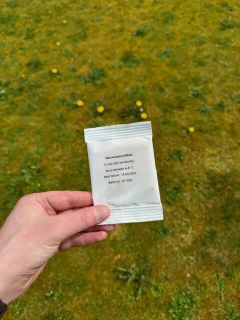 Vliegjes in plant oma weet raadt - feltiae_aaltjes(1)