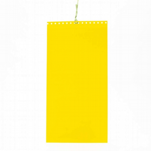 Welke zwarte beestjes op mijn planten? - vangplaat_tegen_vliegjes_-_10_stuks